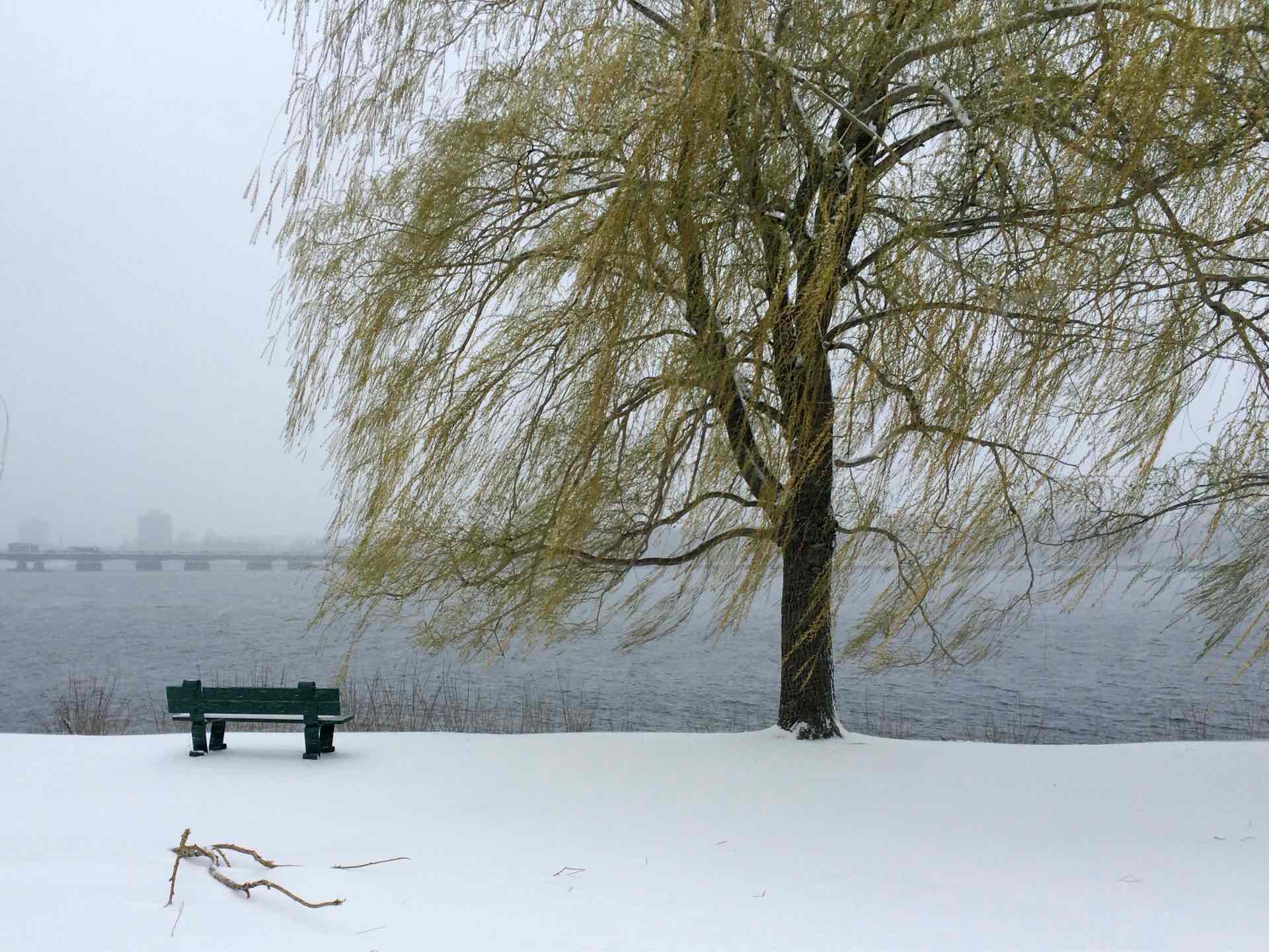 3 Best Spots for Picturesque Winter Walks image