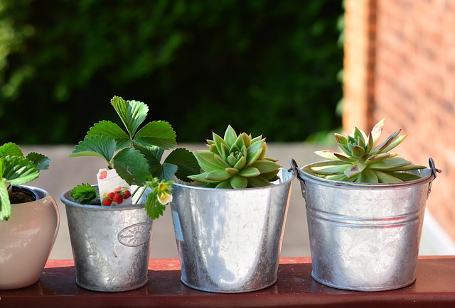 Make the Most of Your Patio or Balcony With These Decorating Tips image