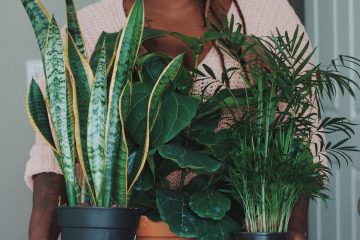 apartment plants