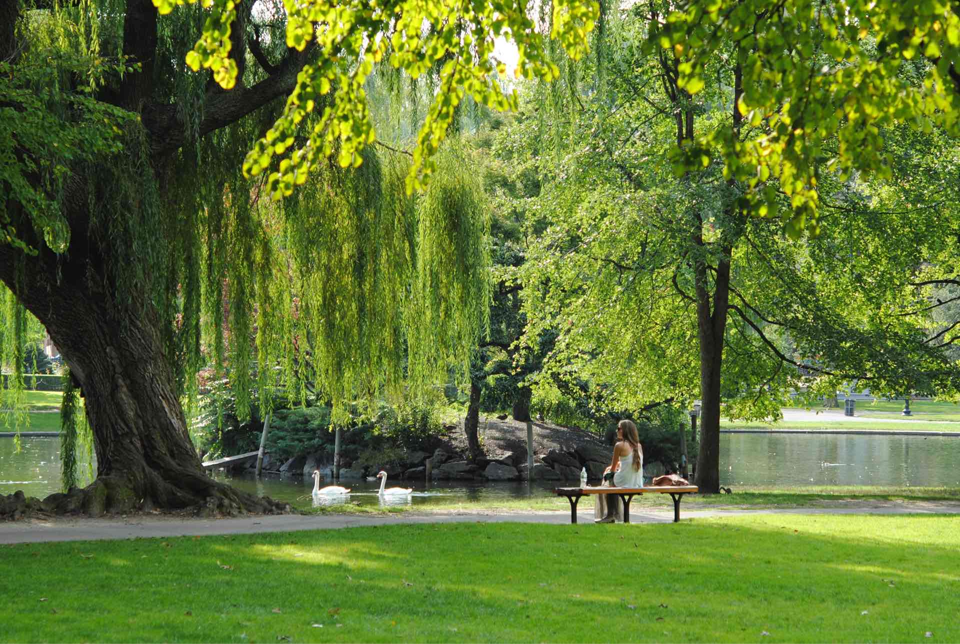 Take a Stroll Through These Parks Near Back Bay image