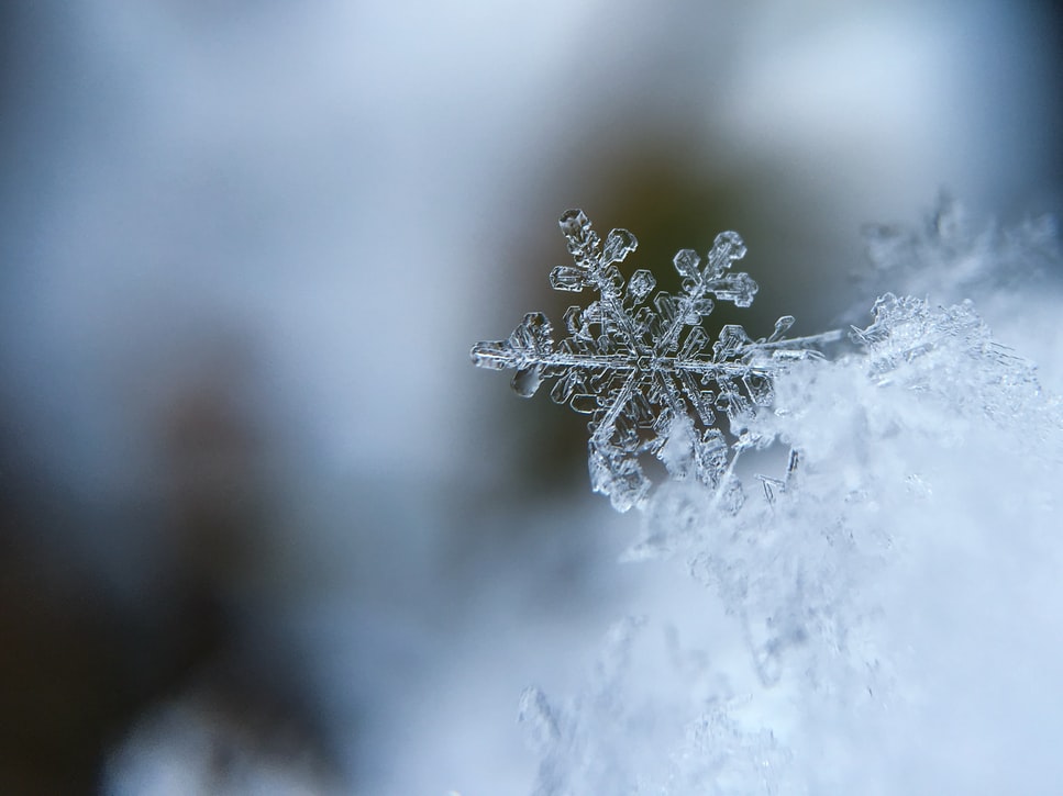 3 Ideas for Fun and Exciting Indoor Activities to do on a Cold Boston Day image