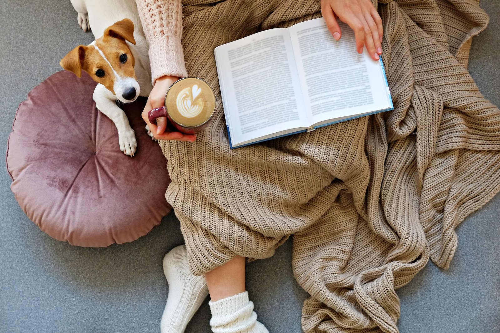 Cozy Indoor Activities at 30 Dalton for a Rainy Spring Day image
