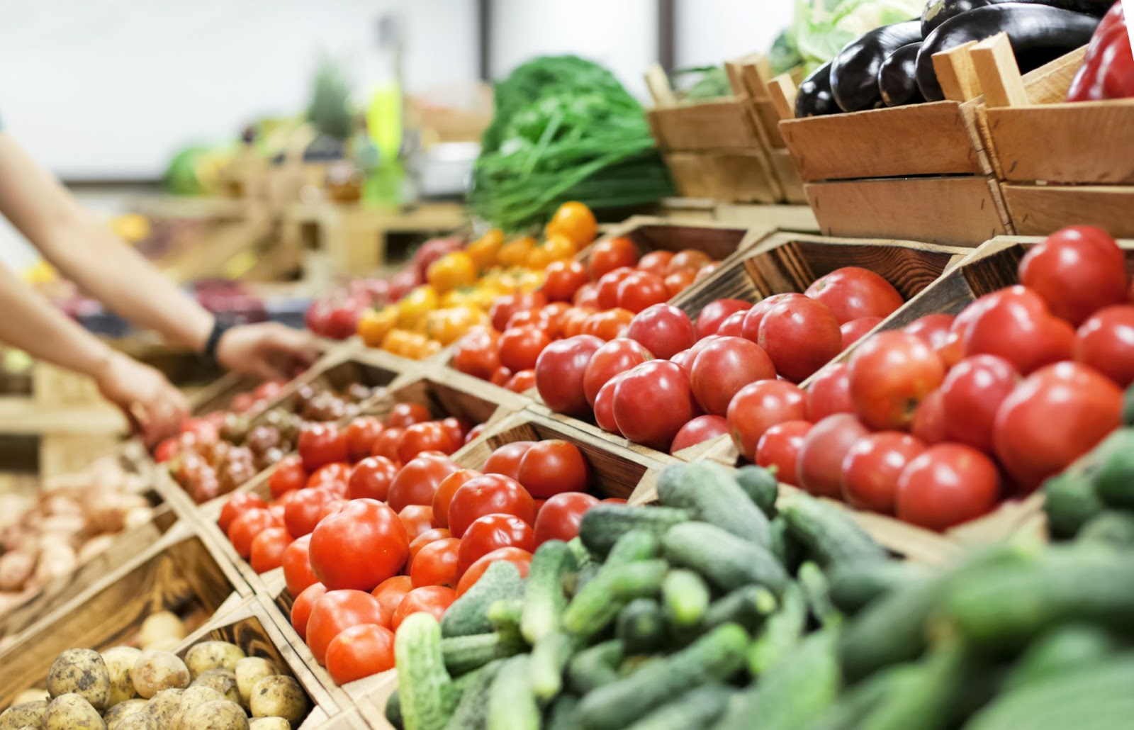 Shop Local at these Boston Farmers Markets image