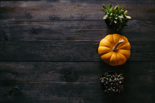 Tips For Cozying Up Your 30 Dalton Home This Fall image
