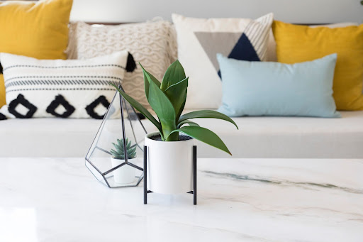 Brighten Up Your Living Space with These Spring Decorating Tips image